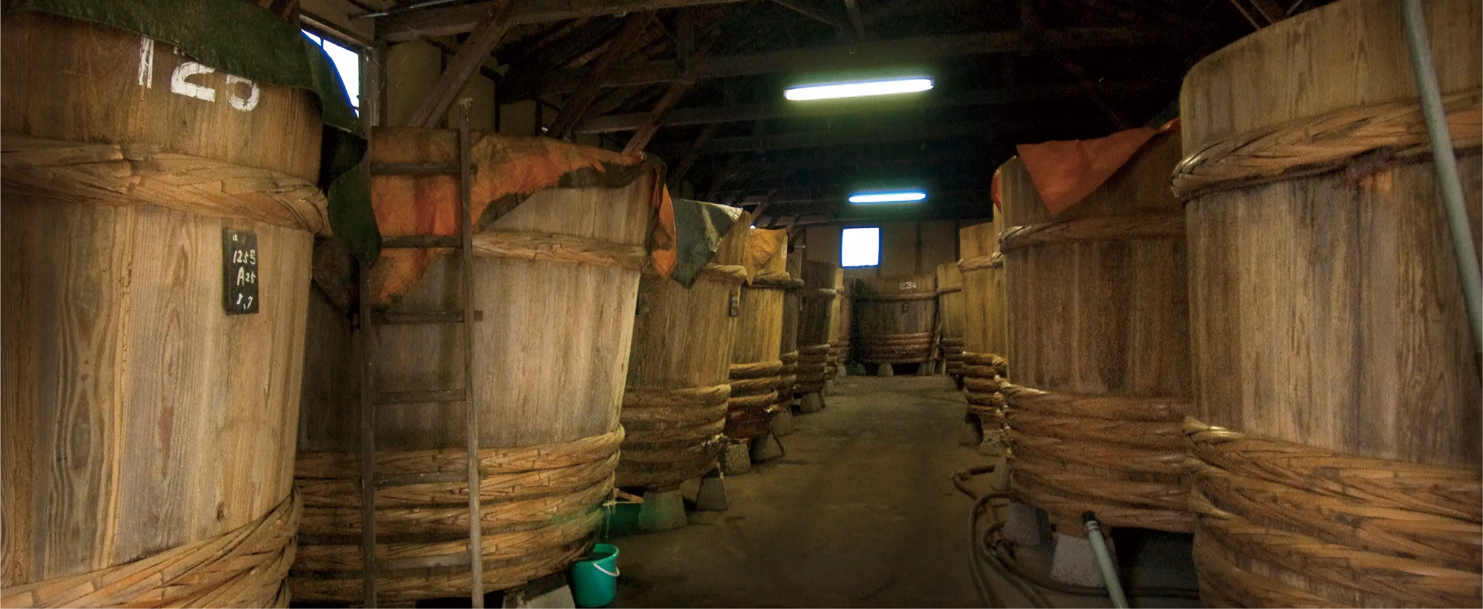 Fermented foods in Japan